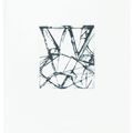 Brice Marden — Гравюры для Rexroth, изображение 23
