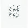 Brice Marden — Гравюры для Rexroth, изображение 5