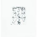 Brice Marden — Гравюры для Rexroth, изображение 6