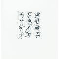 Brice Marden — Гравюры для Rexroth, изображение 7
