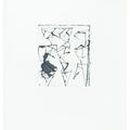 Brice Marden — Гравюры для Rexroth, изображение 10