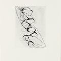 Brice Marden — Выход из Хань Шаня, изображение 3