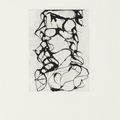 Brice Marden — Выход из Хань Шаня, изображение 5