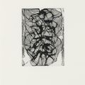 Brice Marden — Выход из Хань Шаня, изображение 7