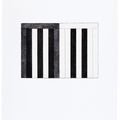 Brice Marden — 12 Просмотров для Caroline Tatyana, изображение 4