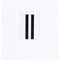 Brice Marden — 12 Просмотров для Caroline Tatyana, изображение 6