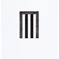 Brice Marden — 12 Просмотров для Caroline Tatyana, изображение 8