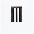Brice Marden — 12 Просмотров для Caroline Tatyana, изображение 9
