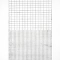 Brice Marden — Адриатикс (Льюисон, 22), изображение 2
