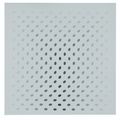 Bridget Riley — Девятнадцать Серых, изображение 3