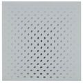 Bridget Riley — Девятнадцать Серых, изображение 4