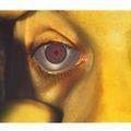 Bruce Nauman — Инфракрасные выходы, изображение 5
