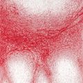 Chiharu Shiota — Бесшумный взрыв V, изображение 1