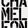 Christopher Wool — Черная книга, изображение 1