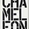 Christopher Wool — Черная книга, изображение 1