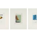 Claes Oldenburg — Заметки в руках, изображение 1