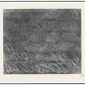 Cy Twombly — Без названия Я, изображение 2
