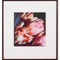 Cy Twombly — Тюльпаны (III), изображение 2