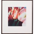 Cy Twombly — Тюльпаны (III), изображение 12
