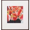 Cy Twombly — Тюльпаны (III), изображение 4