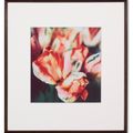 Cy Twombly — Тюльпаны (III), изображение 8