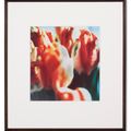 Cy Twombly — Тюльпаны (III), изображение 10