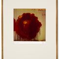 Cy Twombly — Деталь росписи (розы), изображение 2