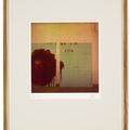 Cy Twombly — Деталь росписи (розы), изображение 2
