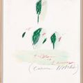 Cy Twombly — Естественная история, часть II: Некоторые деревья Италии, изображение 5