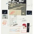 Cy Twombly — № X, из первой части "Естественной истории": Грибы, изображение 1