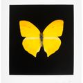 Damien Hirst — Души, поднимающиеся по Лестнице Иакова, совершают свой полет : один отпечаток, изображение 1