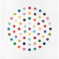 Damien Hirst — Цинхонидин; Циклопироксоламин; Цинеол, изображение 4