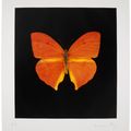 Damien Hirst — Души, поднимающиеся по Лестнице Иакова, Совершают Свой Полет (Уникальный), изображение 1