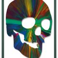 Damien Hirst — Вращающийся череп, изображение 3