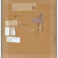 David Bomberg — Саперы за работой под холмом 60, изображение 3