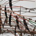David Hammons — Без названия (Полет фантазии), изображение 7