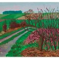 David Hockney — Дорожки и живая изгородь, январь, изображение 1