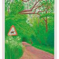 David Hockney — Приход весны в Уолдгейт, Восточный Йоркшир, в 2011 году (двадцать одиннадцать часов) - 30 мая 2011, изображение 1