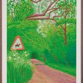 David Hockney — Приход весны в Уолдгейт, Восточный Йоркшир, в 2011 году (двадцать одиннадцать часов) - 30 мая 2011, изображение 2