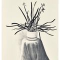 David Hockney — Нарциссы в горшках, изображение 1