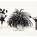 David Hockney — Две вазы со срезанными цветами и растение Лириопа, изображение 1