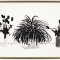 David Hockney — Две вазы со срезанными цветами и растение Лириопа, изображение 2