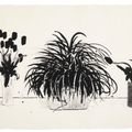 David Hockney — Две вазы со срезанными цветами и растение Лириопа, изображение 1