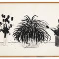 David Hockney — Две вазы со срезанными цветами и растение Лириопа, изображение 2