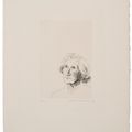 David Hockney — Моя сегодняшняя мама; как этюд для Фелисите из "Простого сердца" Гюстава Флобера, изображение 1