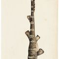 Dutch School — ЯВА И ГОЛЛАНДСКАЯ ОСТ-ИНДИЯ, ИНДОНЕЗИЯ, ОКОЛО 1770 ГОДА, изображение 6