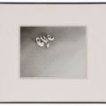 Ed Ruscha — Глаз №3, изображение 2