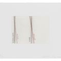 Ed Ruscha — Лос-Франциско, Сан-Анджелес, изображение 3