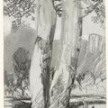 Edward Lear — Пять видов в графстве Уиклоу: Грейт и Литтл Шугарлоафс; Грейт и Литтл Шугарлоафс, снятые со скальпа; Фигуры на фоне деревьев, вероятно, во владениях Пауэрскорта; Озеро Лох-Тэй, смотрящее на север; и Брей с Маленьким Сахарным рулетом вдалеке, изображение 4