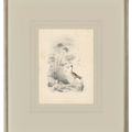 Edward Lear — Четыре виньетки с изображением птиц - пара попугаев, фламинго, авокадо и мергансер, изображение 6